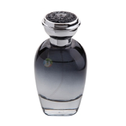 Parfüm Şişesi 100 ml Set (1002)