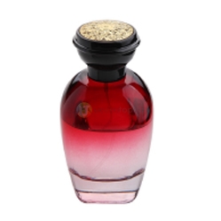 Parfüm Şişesi 100 ml Set (1002) - 3