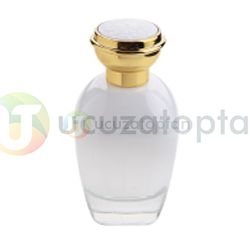 Parfüm Şişesi 100 ml Set (1002) - 2